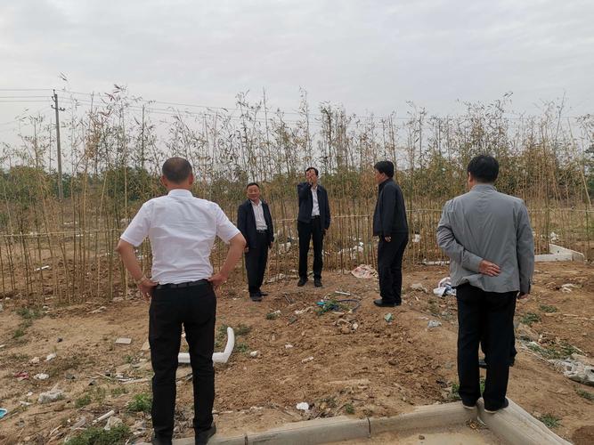 網(wǎng)站建設(shè)