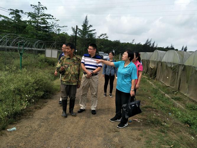 貴州家譜酒釀制過程圖文詳解