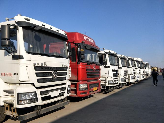 貴州家譜酒真實飲用體驗全方位解析