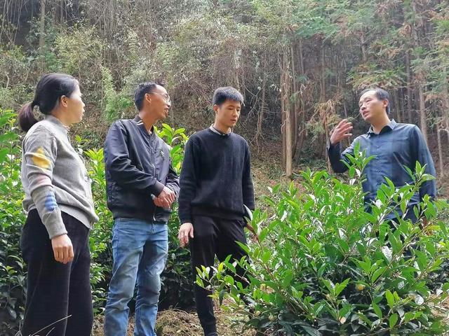 貴州家譜酒品牌競爭力提升策略