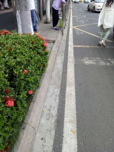 貴州家譜酒特色風(fēng)味獨(dú)特口感解析