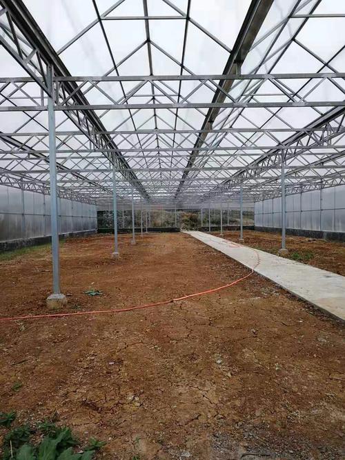 貴州家譜酒助力家庭聚會(huì)美好時(shí)光