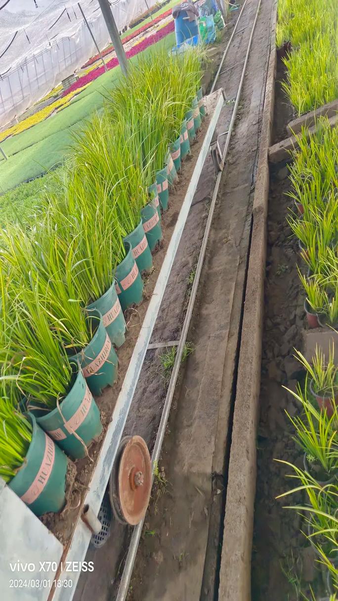 貴州家譜酒文化活動(dòng)及展覽時(shí)間地點(diǎn)