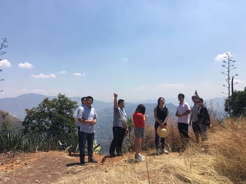 貴州家譜酒線上購買渠道詳細介紹