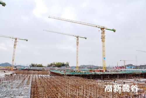 貴州家譜酒批發(fā)市場價(jià)格及進(jìn)貨渠道