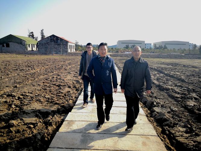 家譜酒節(jié)日貴州家譜酒促銷(xiāo)攻略