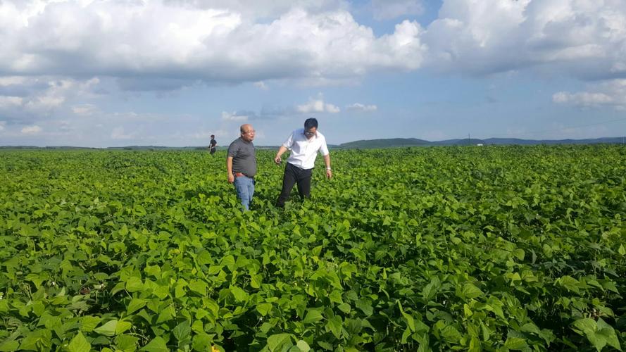 社區(qū)拼團(tuán)