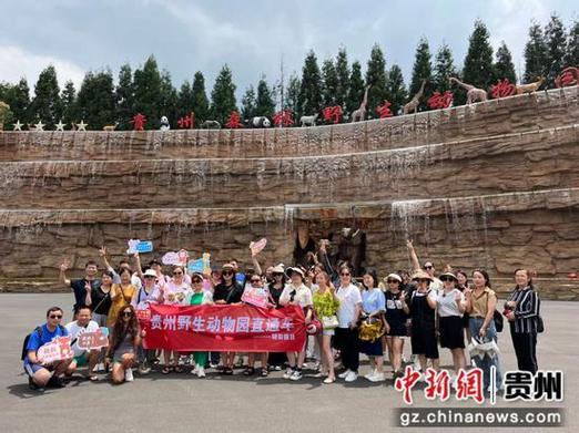 貴州家譜酒老酒投資入門指南