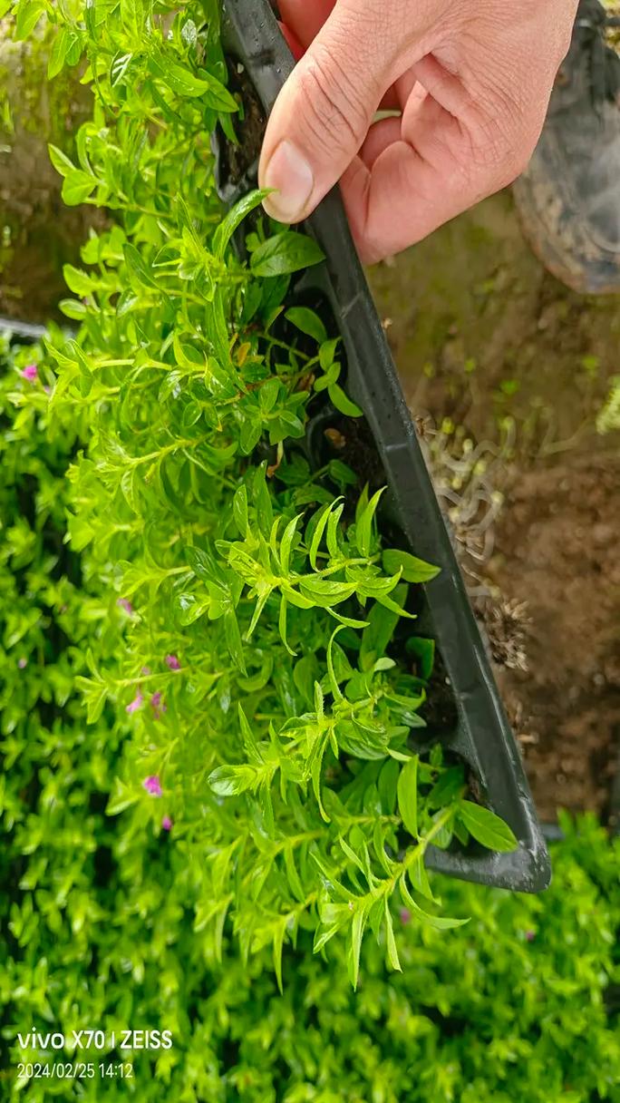 產(chǎn)品經(jīng)理