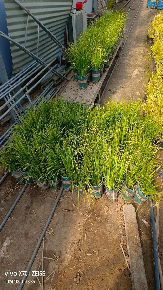 創(chuàng)業(yè)經(jīng)驗