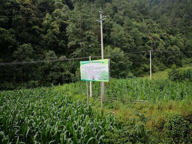 貴州家譜酒系列產(chǎn)品功能全解析