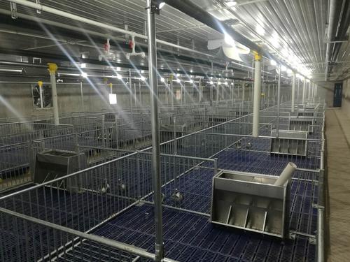 貴州家譜酒收藏保存技巧深度解析