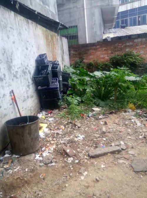 貴州家譜酒冬季飲品獨特風味