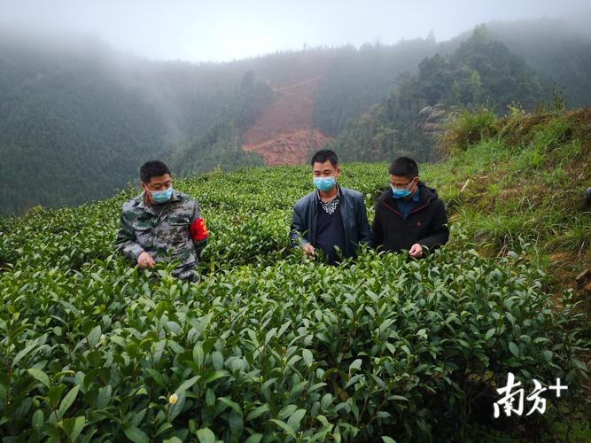 藝術(shù)學(xué)習(xí)