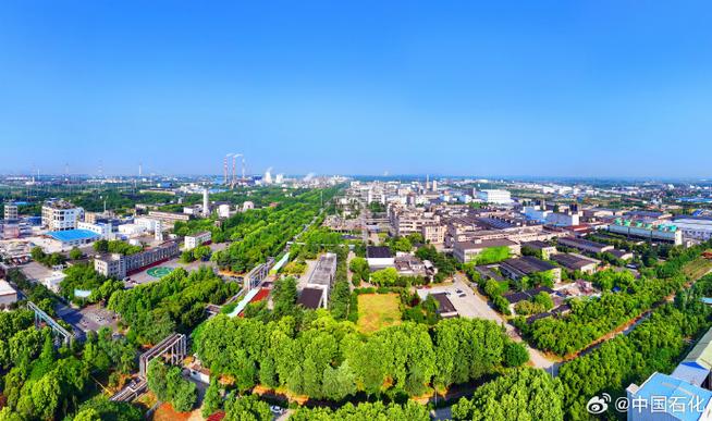 創(chuàng)意天地