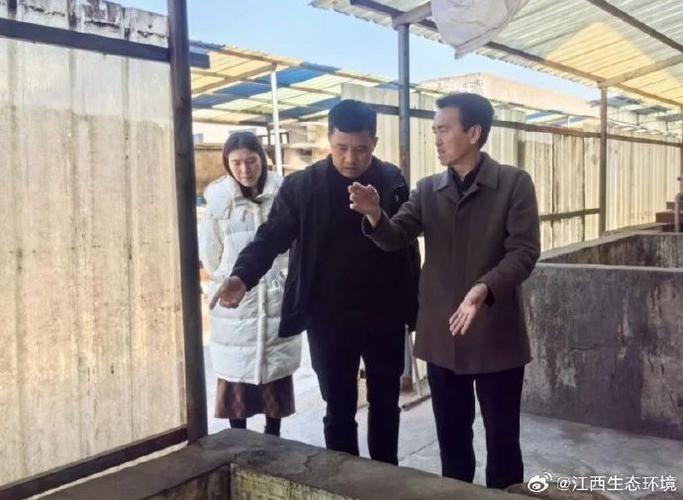 貴州家譜酒價格行情及銷售數(shù)據(jù)分析