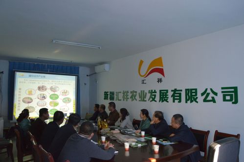 網(wǎng)絡(luò)技術(shù)