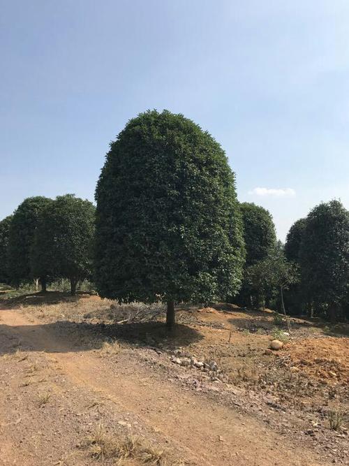 創(chuàng)業(yè)加油